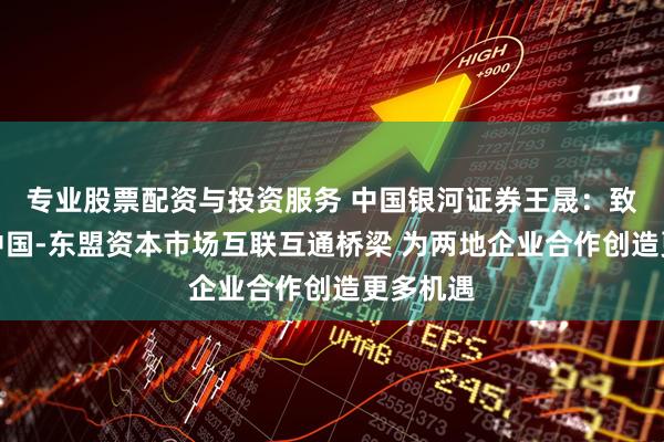 专业股票配资与投资服务 中国银河证券王晟：致力搭建中国-东盟资本市场互联互通桥梁 为两地企业合作创造更多机遇