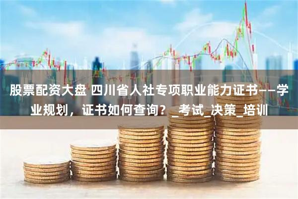 股票配资大盘 四川省人社专项职业能力证书——学业规划，证书如何查询？_考试_决策_培训