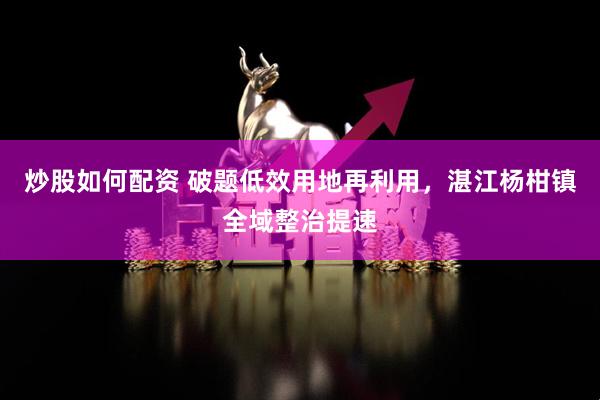 炒股如何配资 破题低效用地再利用，湛江杨柑镇全域整治提速